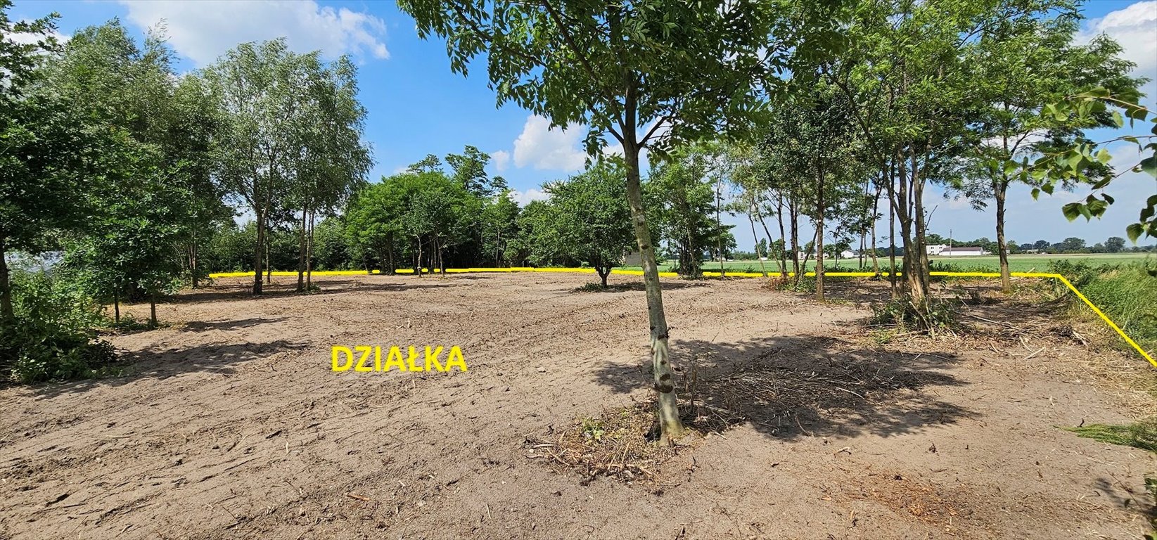 Działka budowlana na sprzedaż Wysoka Wielka  2 500m2 Foto 5