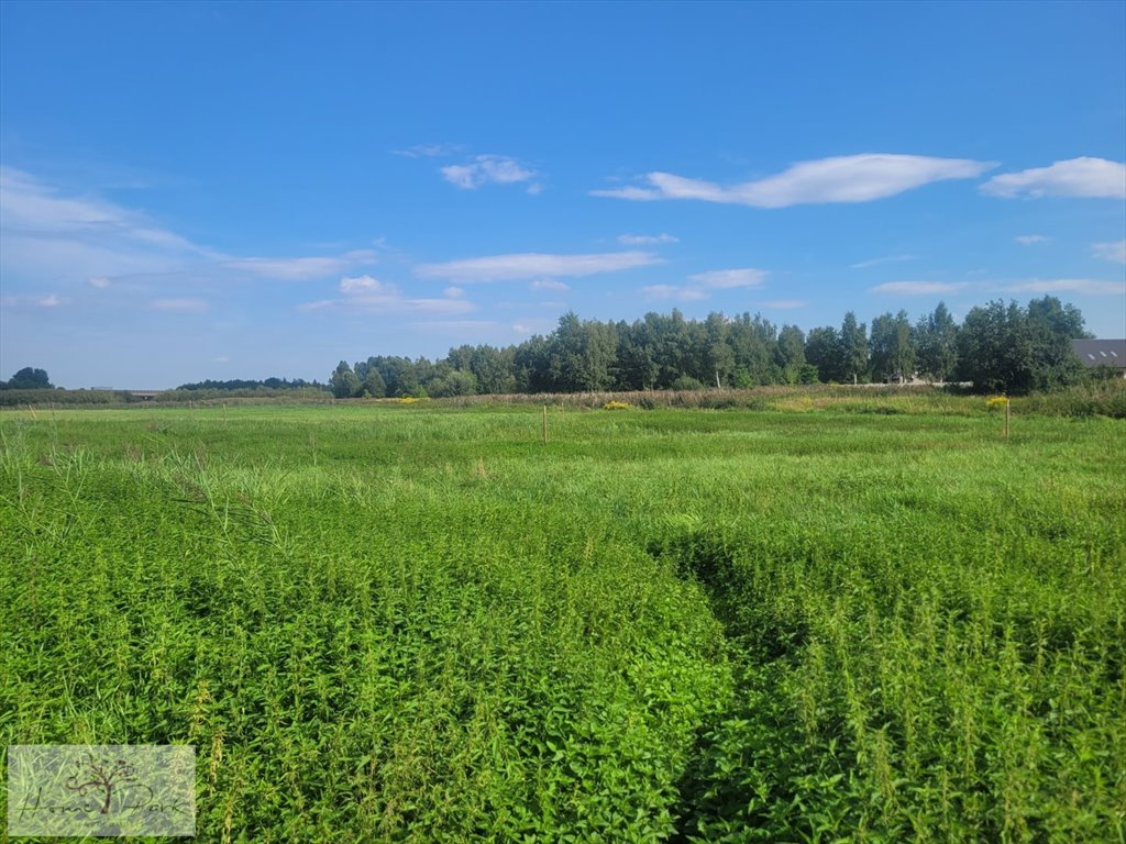 Działka budowlana na sprzedaż Konstantynów Łódzki  1 490m2 Foto 2