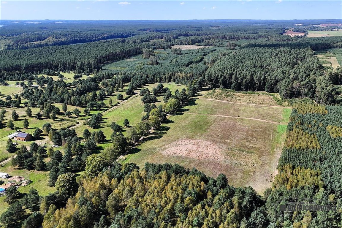 Działka budowlana na sprzedaż Dołgie  815m2 Foto 9