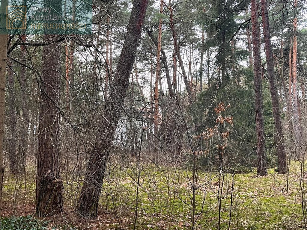 Działka budowlana na sprzedaż Konstancin-Jeziorna  3 050m2 Foto 3