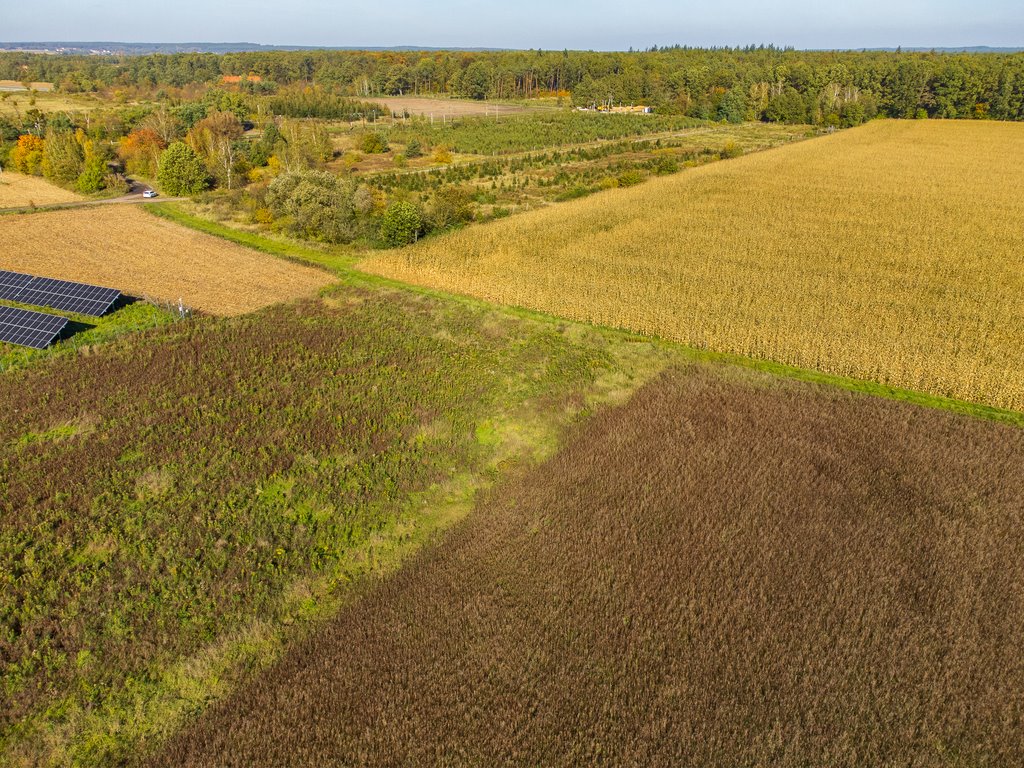 Działka budowlana na sprzedaż Nowica  877m2 Foto 5