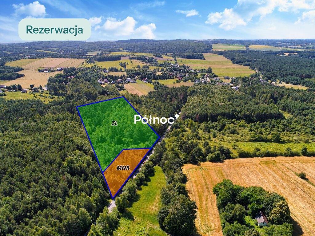 Działka z lasem 4600 m² w Kiełkowicach – idealna pod dom i usługi Kiełkowice, Pielgrzymów  4 600m2 Foto 1