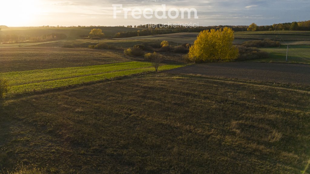 Działka budowlana na sprzedaż Przerwanki  1 010m2 Foto 10