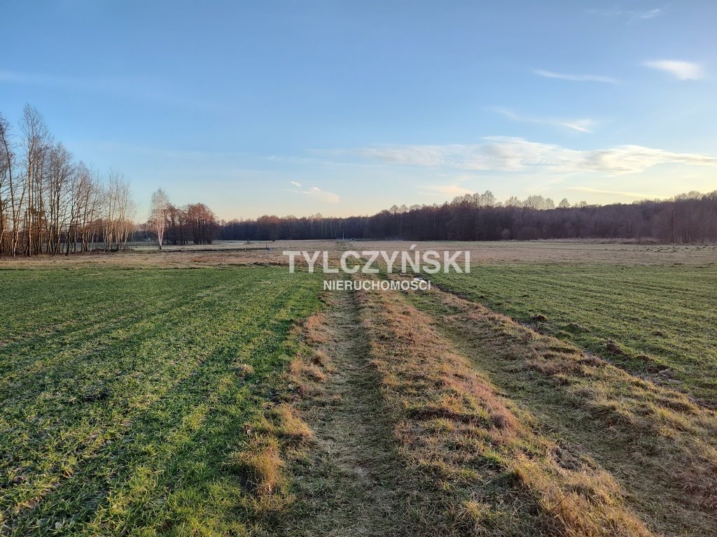 Działka rolna na sprzedaż Kaleń  40 000m2 Foto 4