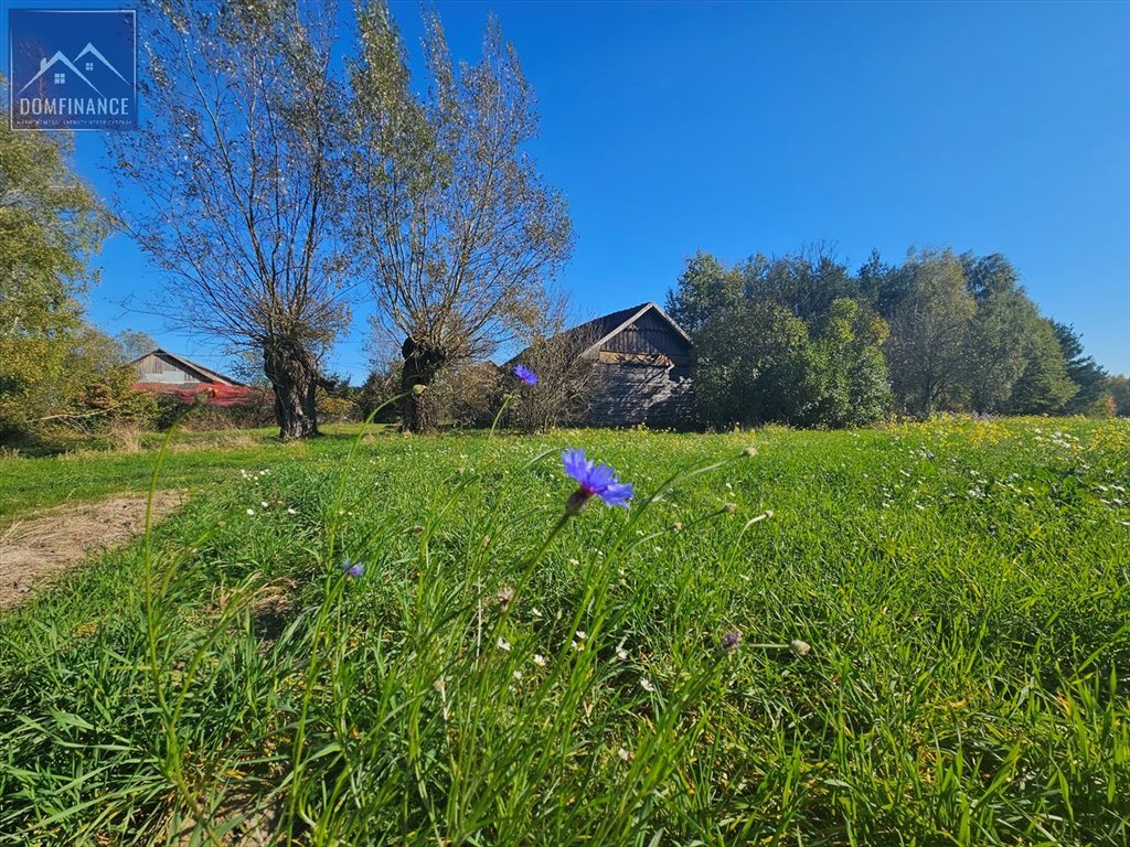 Działka inna na sprzedaż Dąbrowa Tarnowska  29 500m2 Foto 10