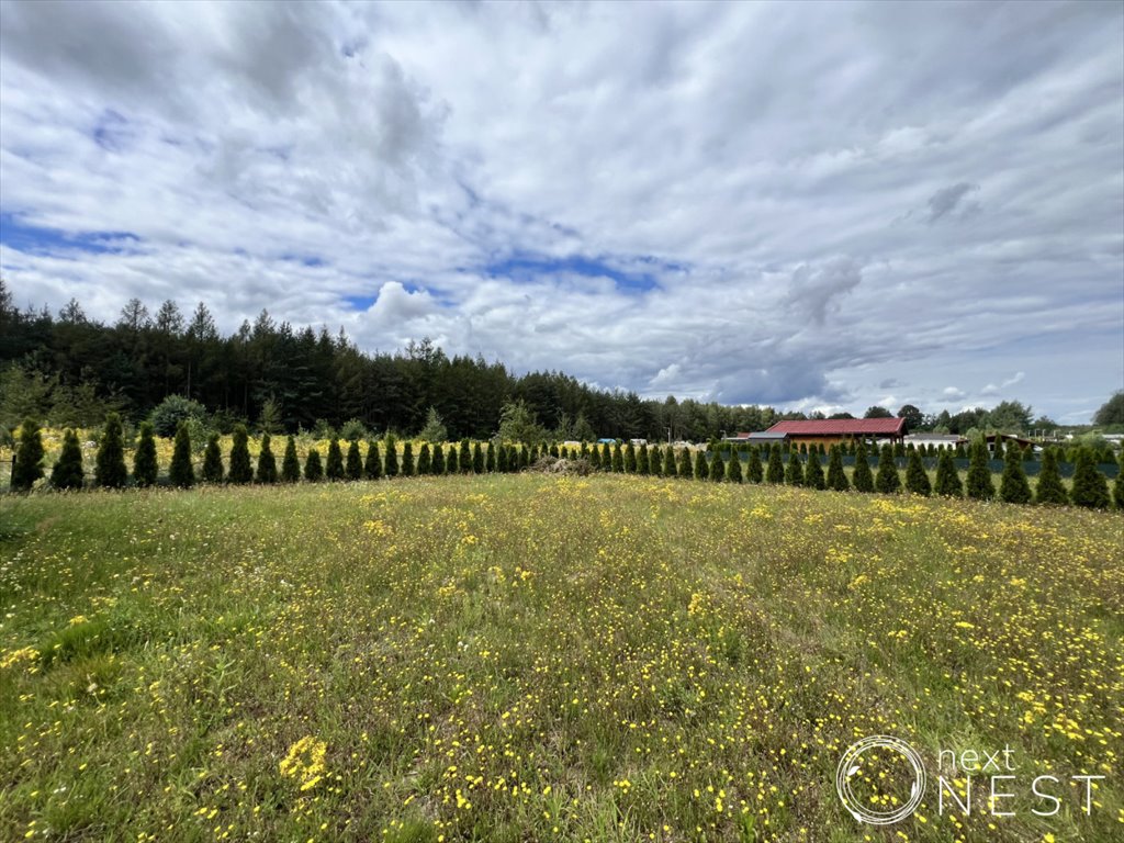 Działka ROD 477 m² z nasadzeniami i opcją domku letniskowego Osuchów, Spokojna  477m2 Foto 1