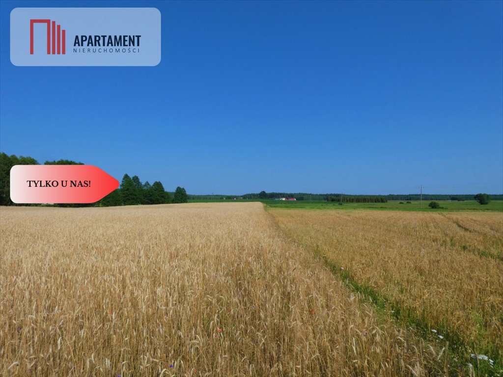 Działka gospodarstwo rolne na sprzedaż Brzozie  17 600m2 Foto 5