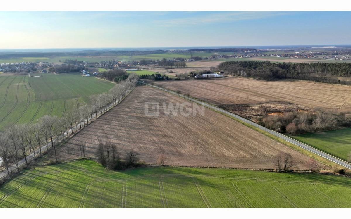 Działki usługowe przy drodze wojewódzkiej 47,2 ha, inwestycje Łaziska, Łaziska  47 200m2 Foto 1