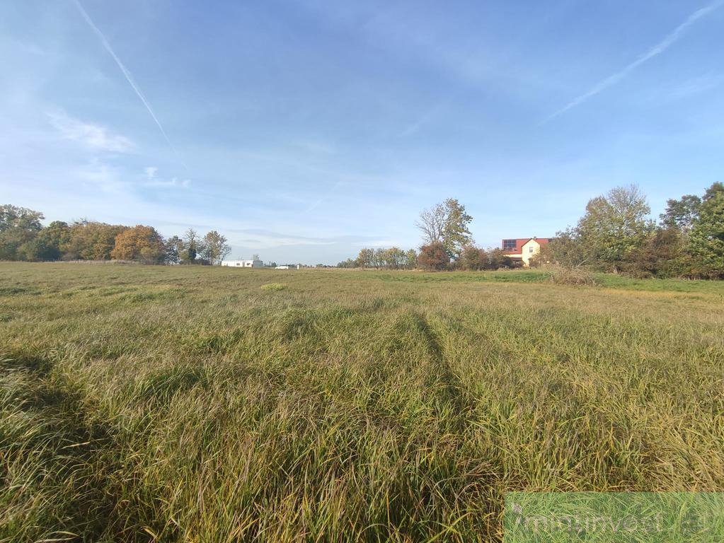 Działka rolna na sprzedaż Racimierz  996m2 Foto 1