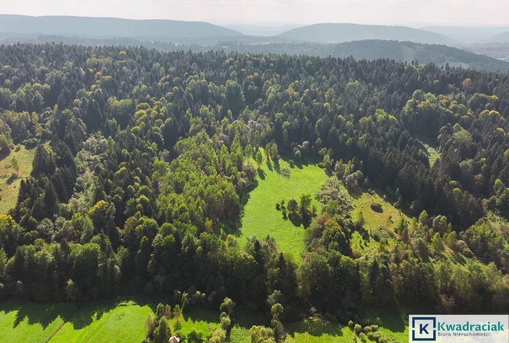 Działka rolna na sprzedaż Ropienka, Ropienka Dolna  37 796m2 Foto 5