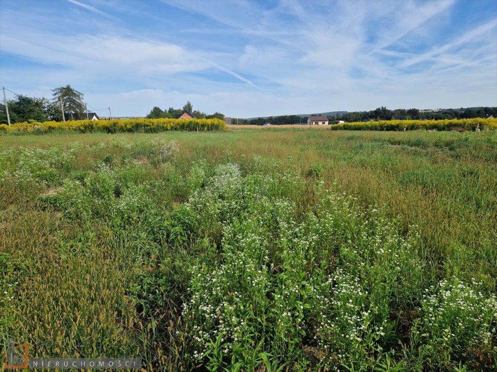 Działka budowlana na sprzedaż Masłomiąca  800m2 Foto 2