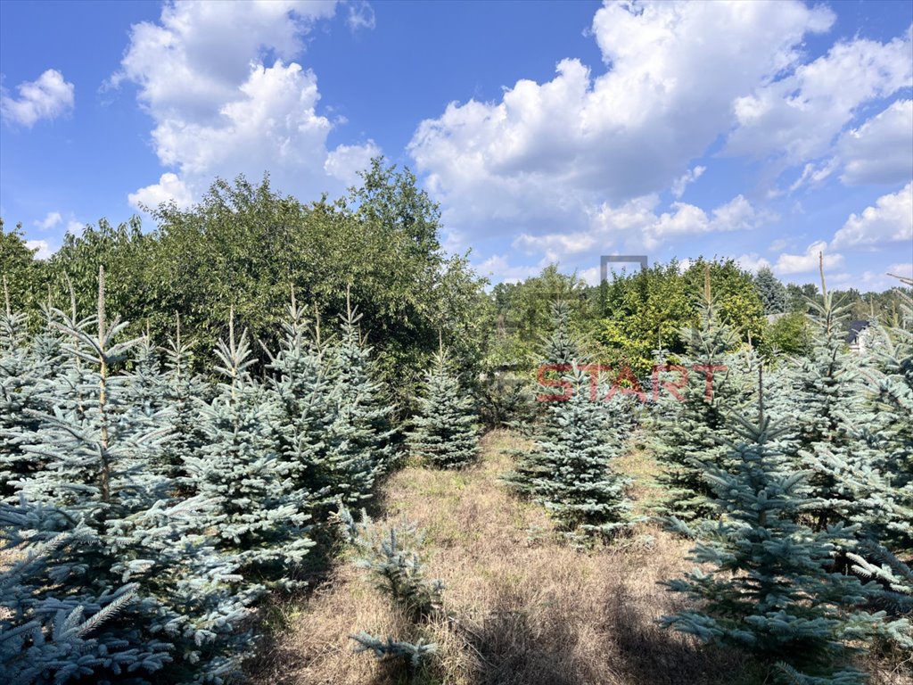 Działka siedliskowa na sprzedaż Osuchów  11 500m2 Foto 7