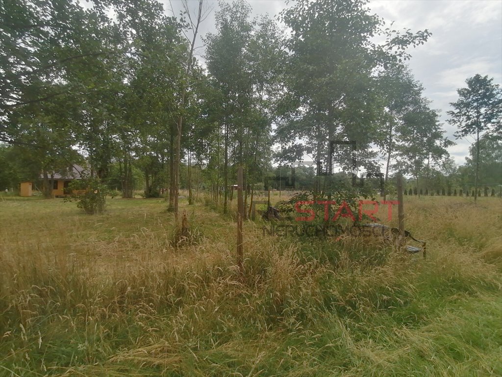 Działka budowlana 1244 m2 pod dom i rekreację, Radziejowice Stare Budy Radziejowskie  1 272m2 Foto 1