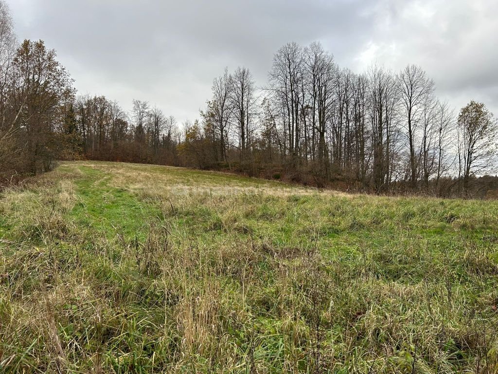 Działka inna na sprzedaż Staniszów, Malinowa  3 000m2 Foto 2