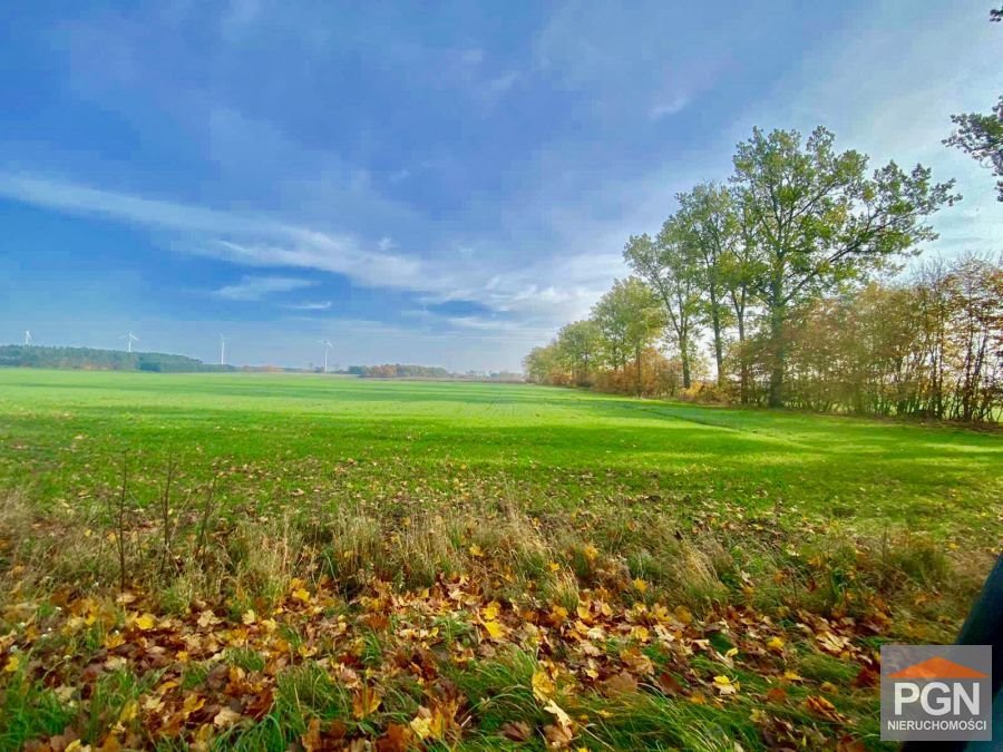 Działka 10200 m² w kształcie prostokąta, klasa ziemi IV RESKO OKOLICA  10 200m2 Foto 1