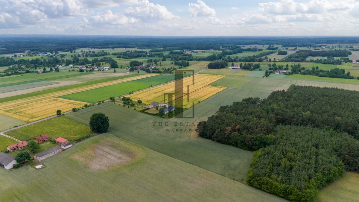 Działka siedliskowa na sprzedaż Czarnoty  130 000m2 Foto 5