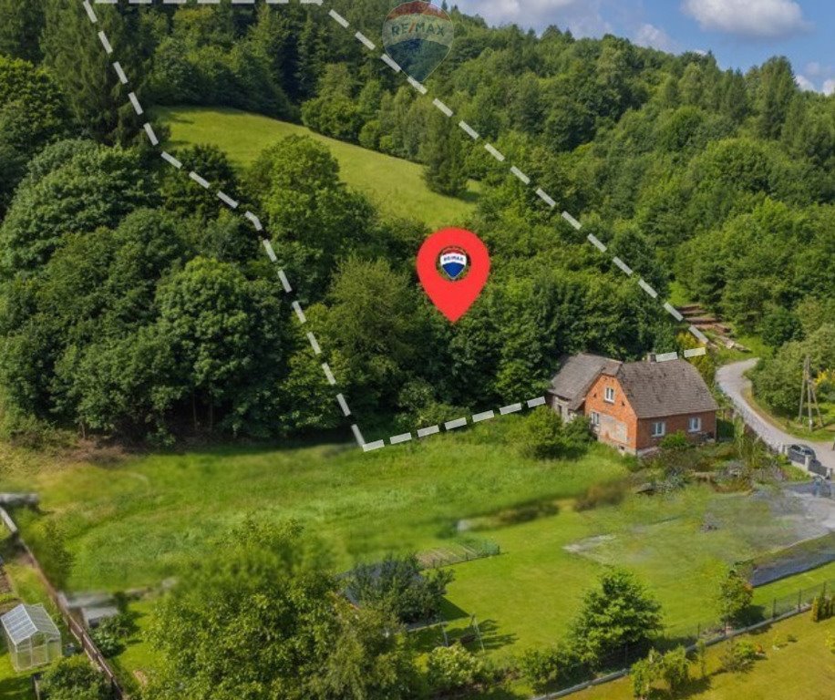 Urokliwa działka leśna z polaną, 8,5 tys. m², Rzyki Rzyki, os. Sordyle  8 552m2 Foto 1