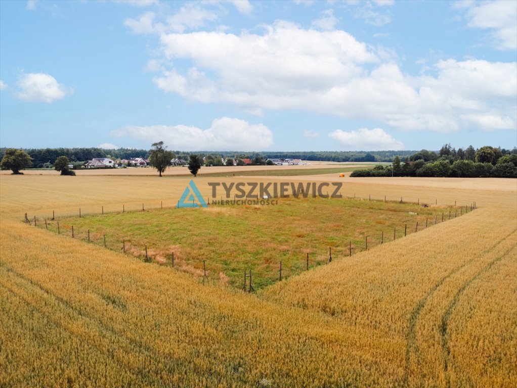 Działka budowlana na sprzedaż Góra, Słowińska  3 088m2 Foto 12