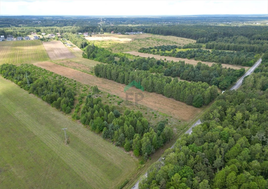 Działka inna na sprzedaż Aleksandria  9 800m2 Foto 6