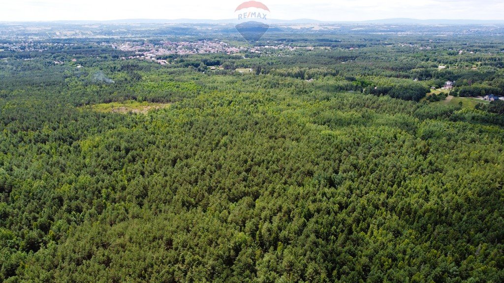 Działka budowlana na sprzedaż Ostrowiec Świętokrzyski, Las Rzeczki  1 399m2 Foto 3