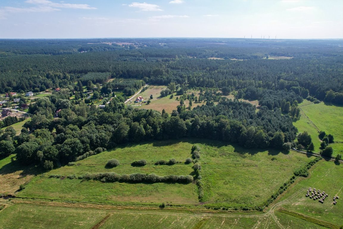 Działka budowlana na sprzedaż Lękwica  14 600m2 Foto 3