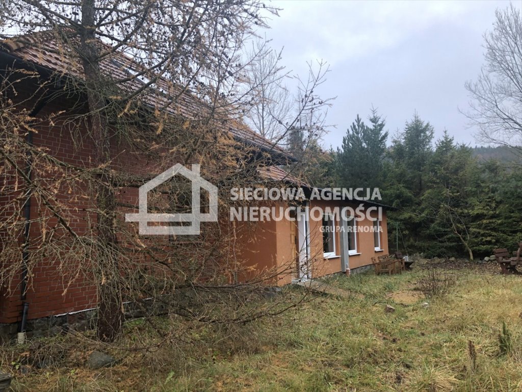 Polecam przestronną działkę 5800 m² z domem, stawem i lasem Rumia  5 800m2 Foto 1