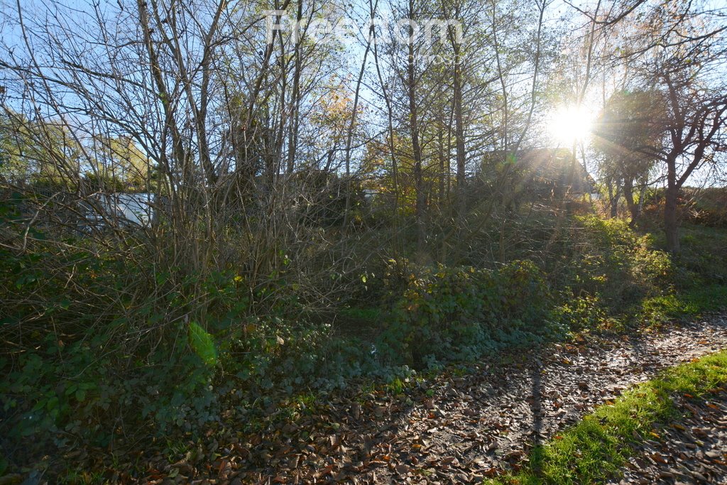 Działka budowlana na sprzedaż Gorzeń Dolny  752m2 Foto 9