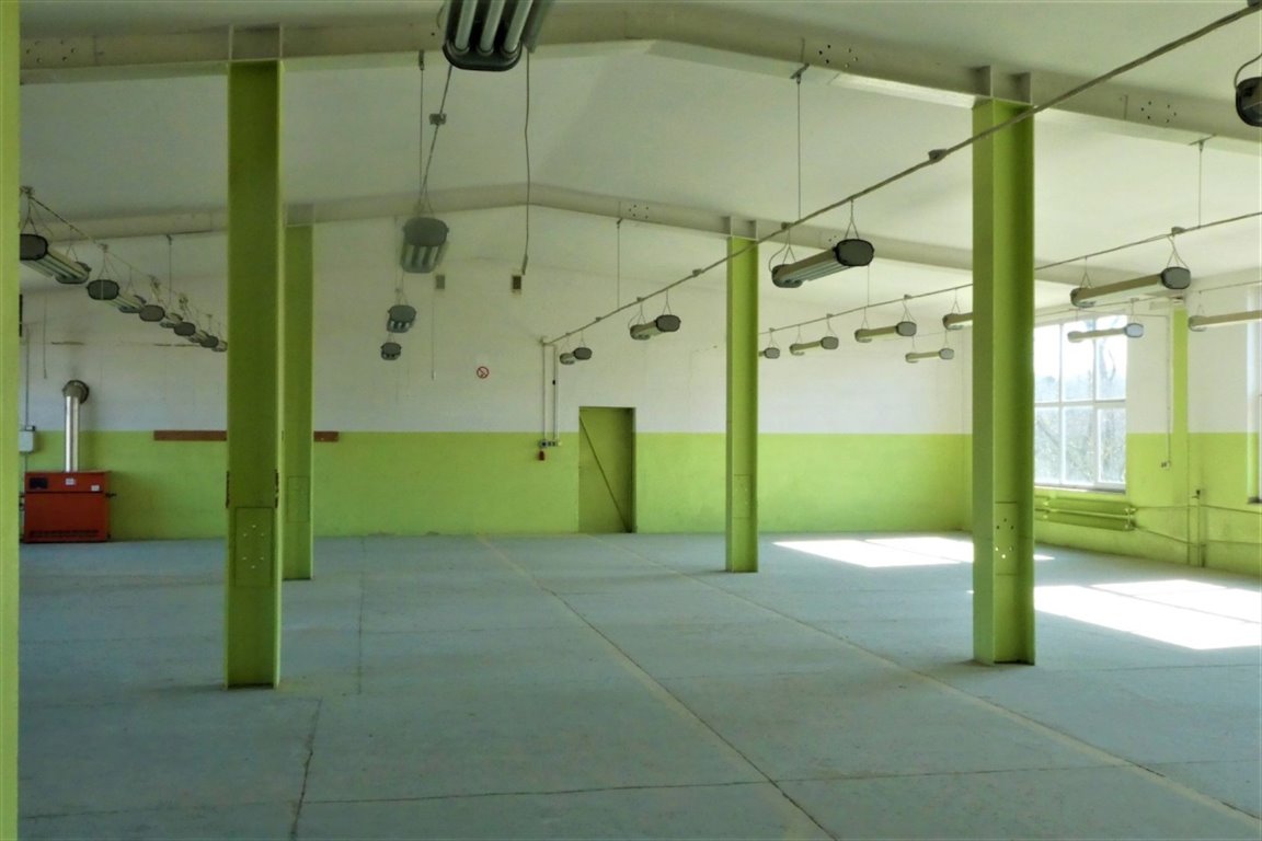 Lokal użytkowy na sprzedaż Środa Śląska, Ciechów  2 400m2 Foto 4