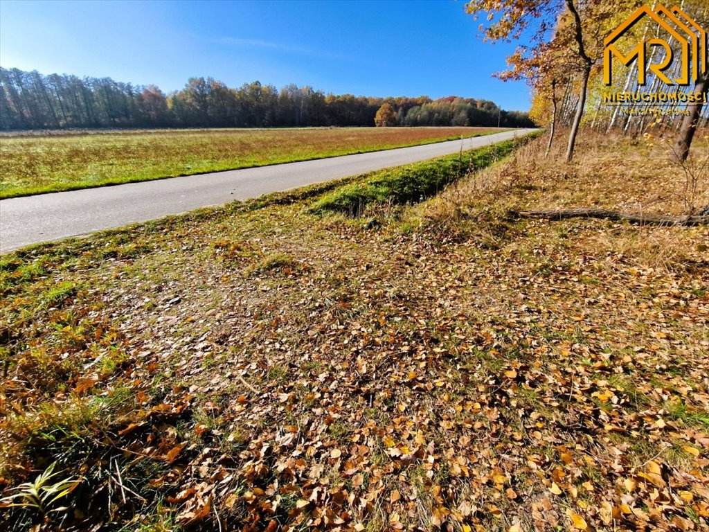 Działka inna na sprzedaż Pogórska Wola  2 389m2 Foto 16