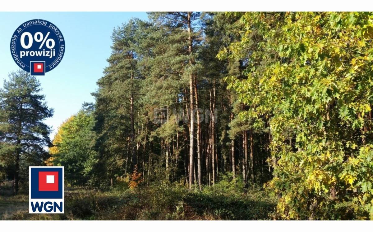 Działka 1,7 ha pod zabudowę mieszkaniową, Wrocławskie Zębice, Groblice  17 101m2 Foto 1