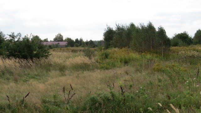 Działka budowlana na sprzedaż Starcza, Szkolna  6 100m2 Foto 4