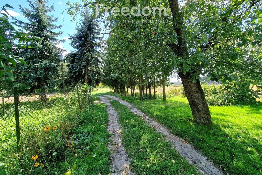 Dom na sprzedaż Dobratycze-Kolonia  85m2 Foto 3