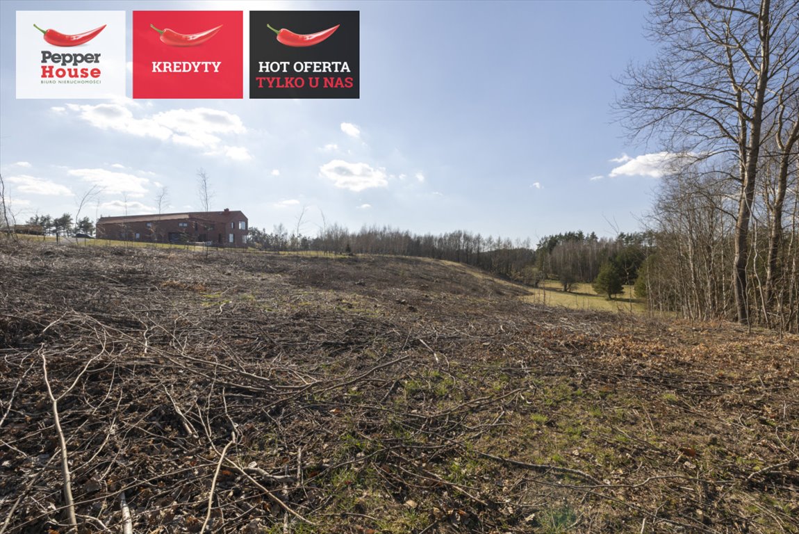 Na sprzedaż działka 10 079 m² z lasami i jeziorem Głębokim Michalin, Żwirowa  10 079m2 Foto 1