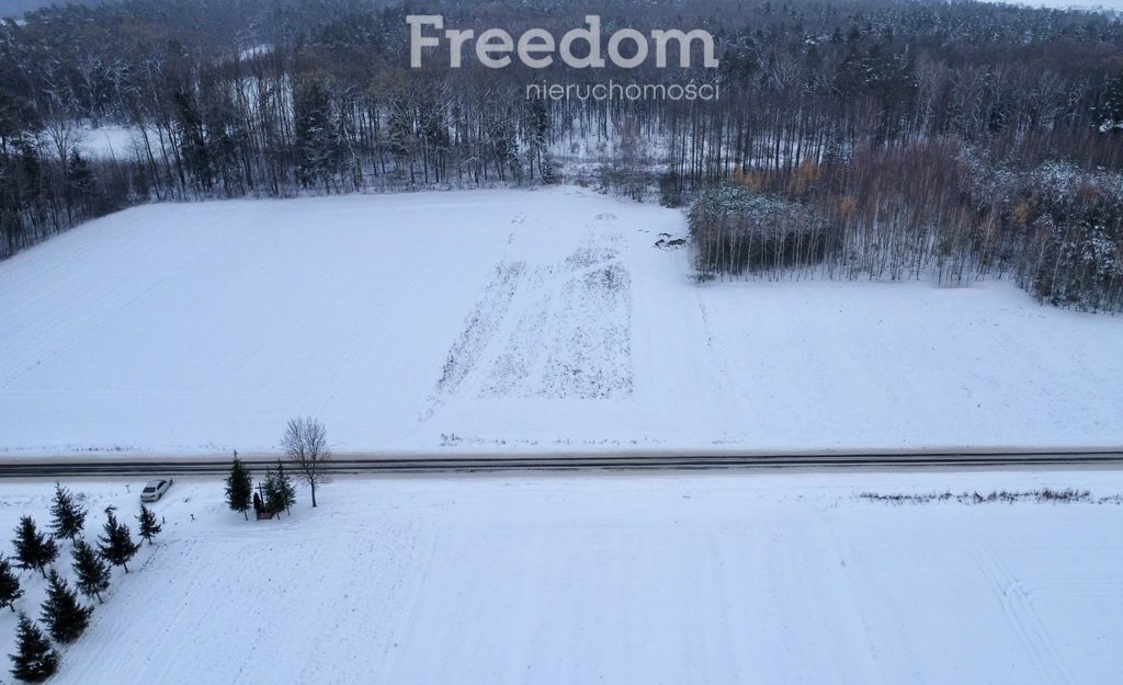 Działka budowlana na sprzedaż Grębków  5 700m2 Foto 5