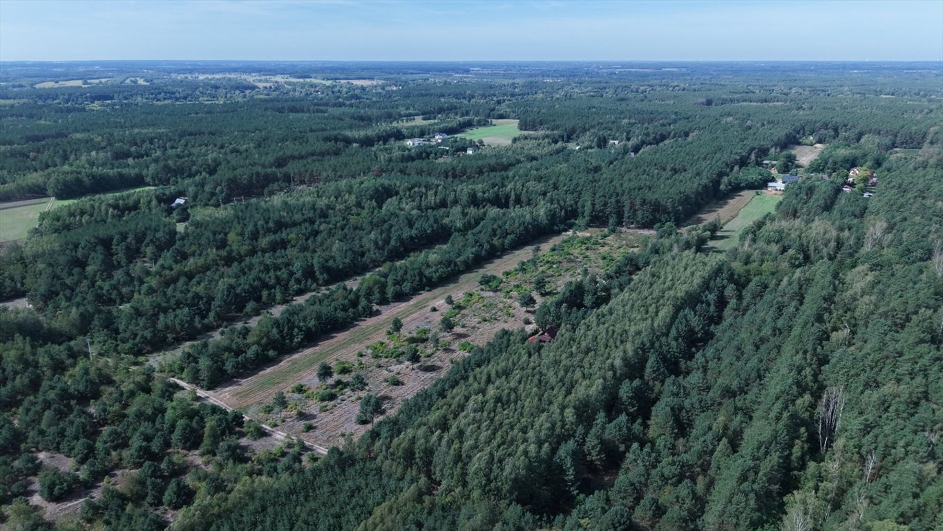 Na sprzedaż działka rolna 17 599 m² w Tomaszewie: Tomaszewo