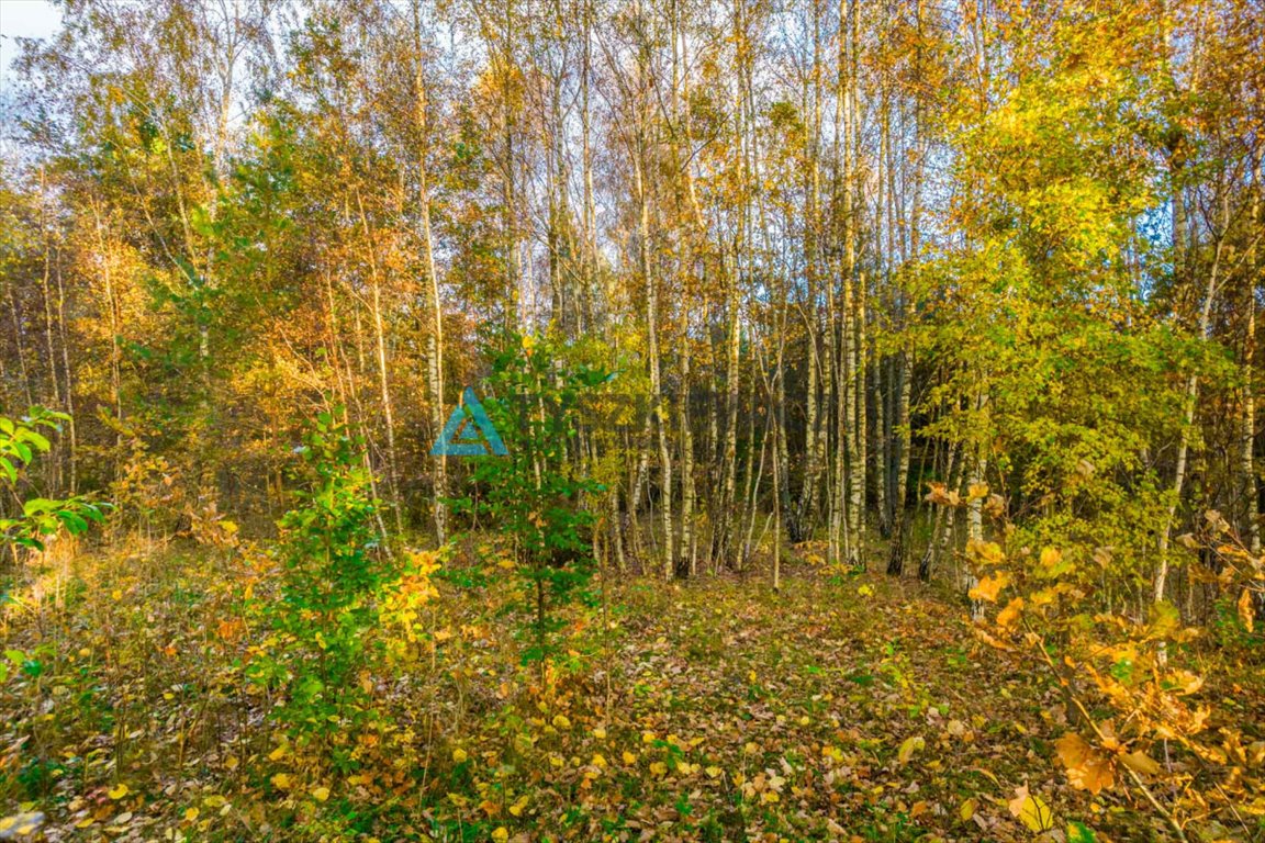 Działka budowlana na sprzedaż Krosnowo  1 579m2 Foto 4