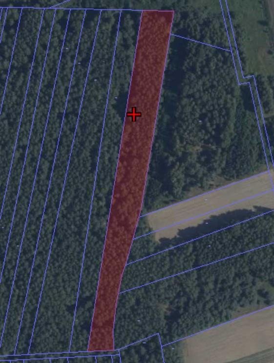 Działka leśna 1,09 ha w Podnieśnie - idealna inwestycja polecam! Podnieśno  10 902m2 Foto 1