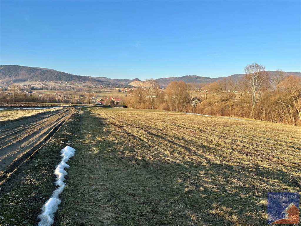 Działka budowlana na sprzedaż Męcina  4 200m2 Foto 7