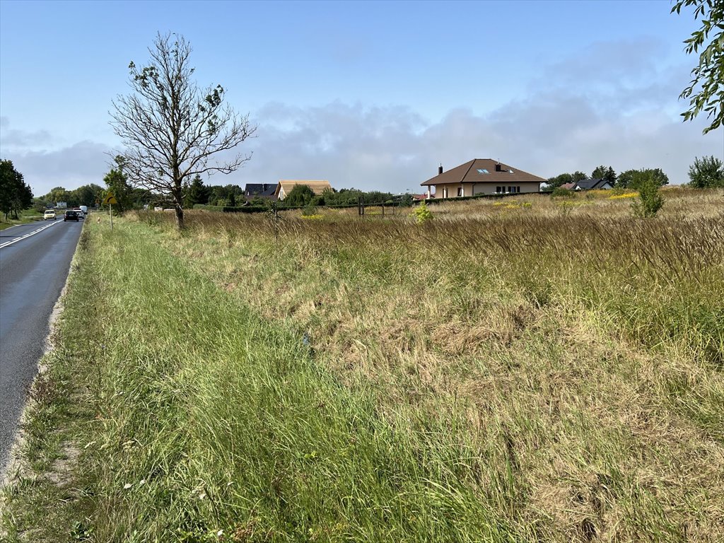 Działka budowlana na sprzedaż Niekanin, Polankowa  15 000m2 Foto 14