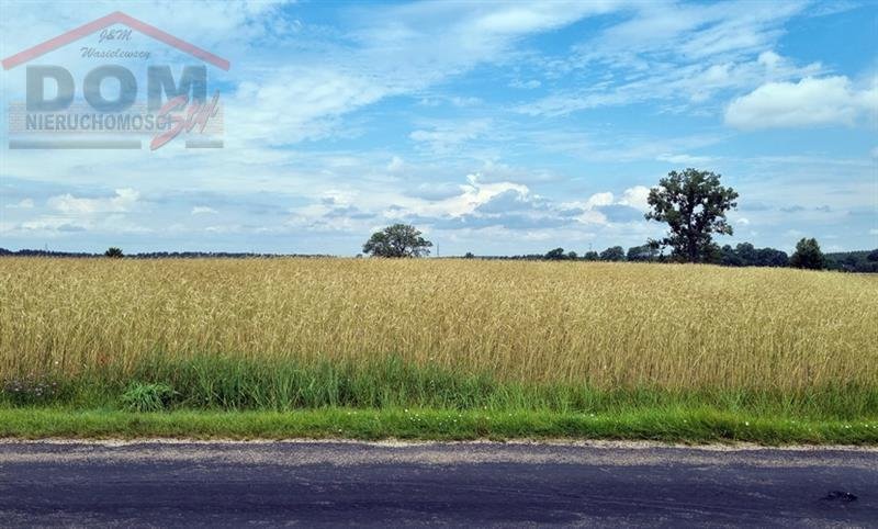 Działka budowlana na sprzedaż Stara Korytnica  13 800m2 Foto 3