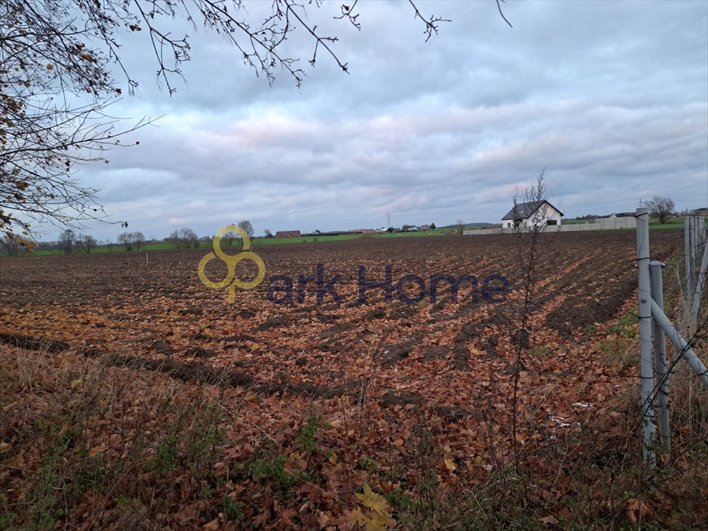 Działka budowlana na sprzedaż Brody  1 000m2 Foto 4