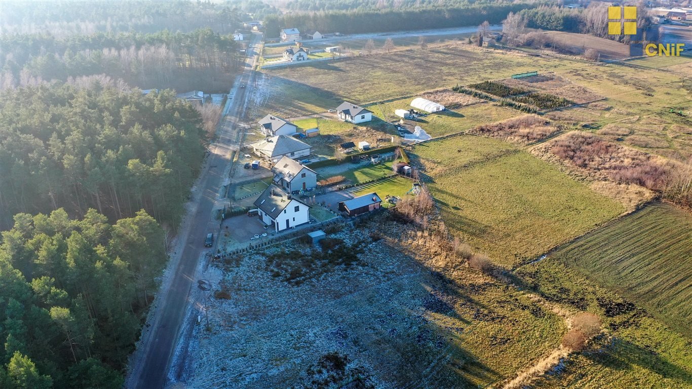 Działka budowlana na sprzedaż Aleksandria  1 347m2 Foto 7