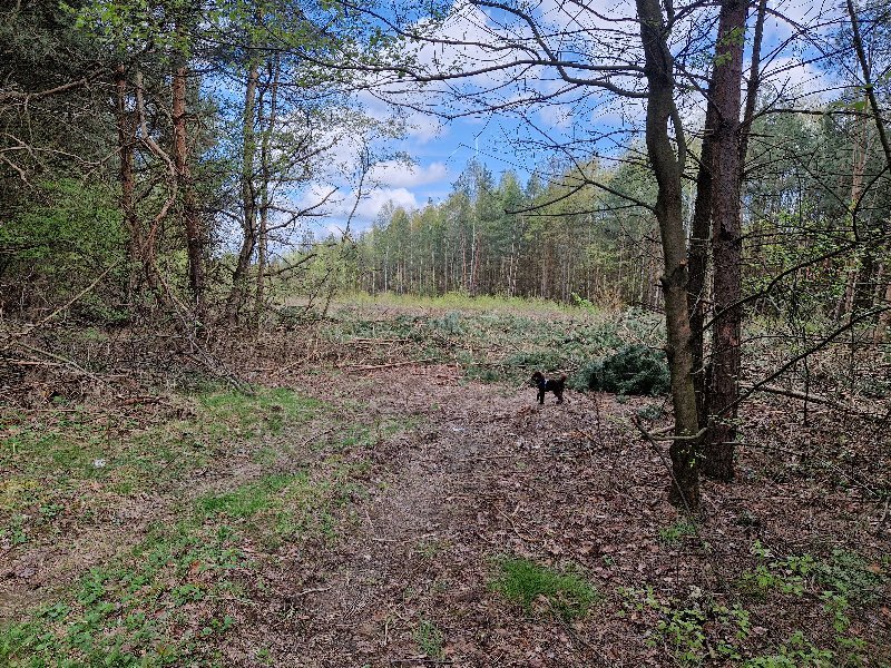 Działka budowlana na sprzedaż Kłobuck, Lgota  19 000m2 Foto 8