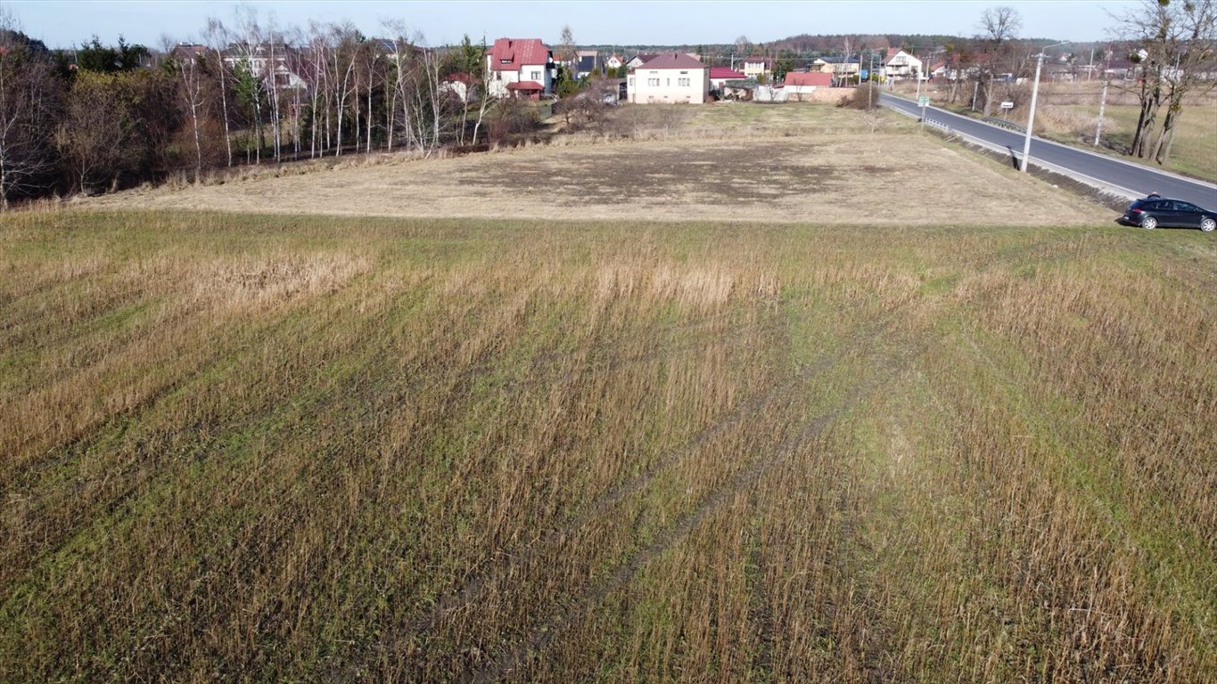 Działka rolna na sprzedaż Grądki  3 005m2 Foto 7