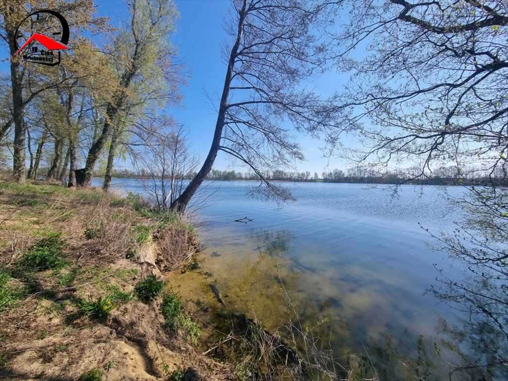 Działka gospodarstwo rolne na sprzedaż Wiewiórczyn, Huby Wiewiórczyńskie  17 000m2 Foto 7