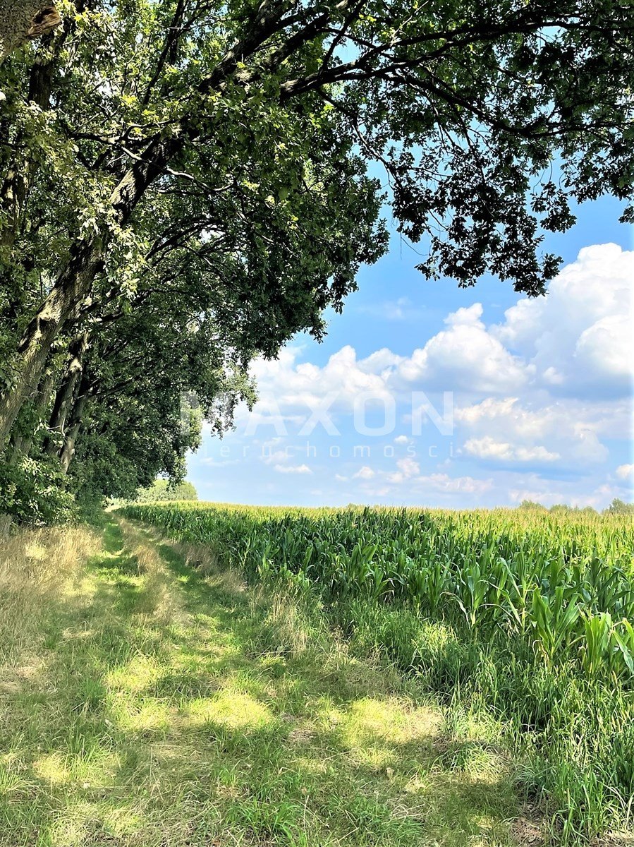 Działka inna na sprzedaż Pasikonie  9 100m2 Foto 7