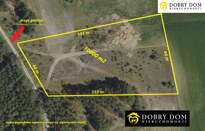 Działka 10 000 m² z mediami, płaska i kształtna Pańki  10 000m2 Foto 1