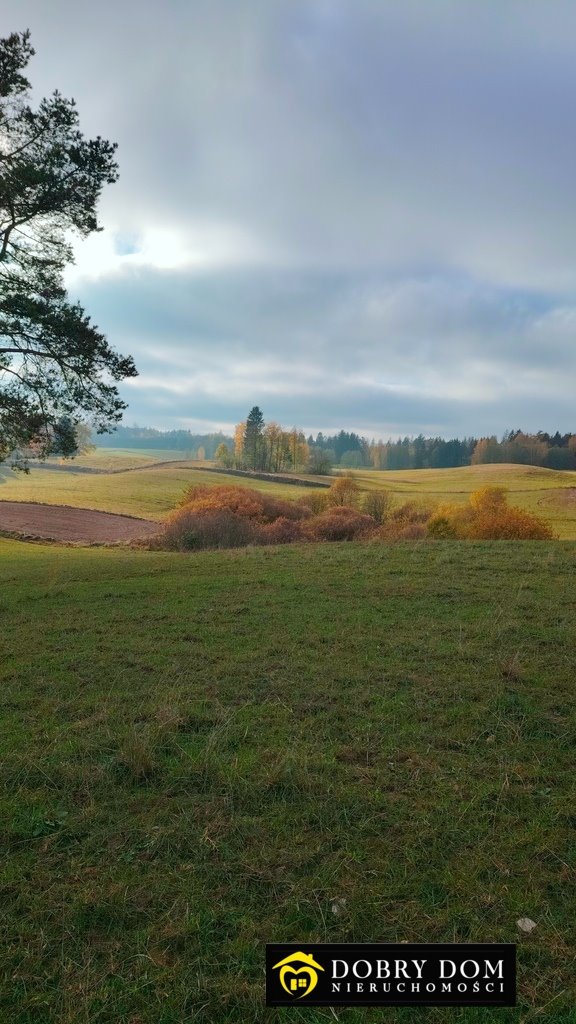 Działka rolna na sprzedaż Przerośl  43 316m2 Foto 7