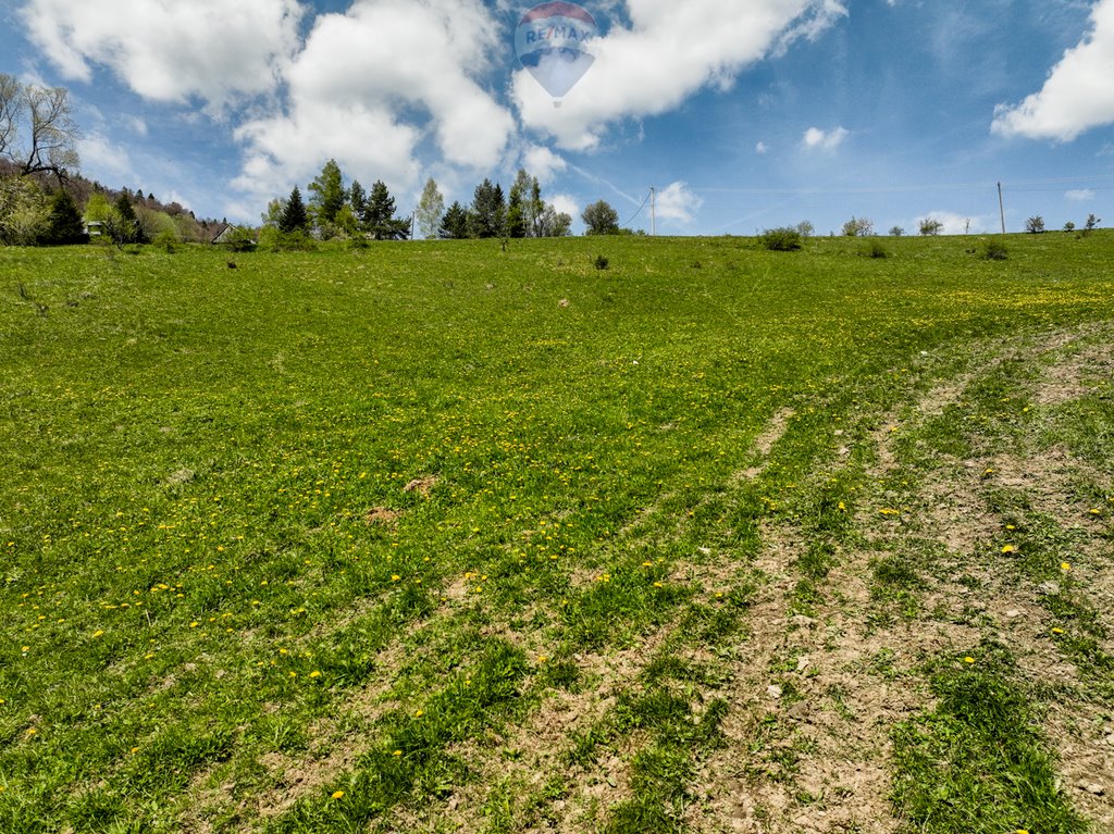 Działka inna na sprzedaż Ochotnica Górna  3 076m2 Foto 14