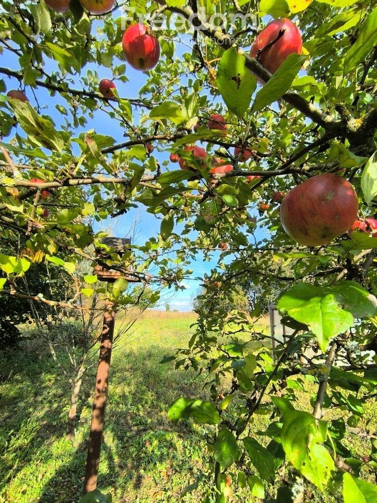 Mieszkanie dwupokojowe na sprzedaż Liszkowo  51m2 Foto 9